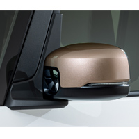 Door Mirror cover0